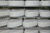 Fabrication du fromage - Fromages moulés en cave d'affinage